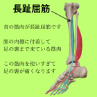 足の裏が痛くなる原因パート２