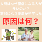 人間はなぜ腰痛になる人が多いのか？Part３