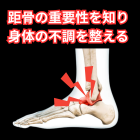 距骨の重要性