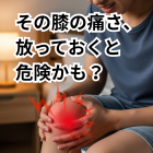 【その膝の痛さ、放っておくと危険かも？】